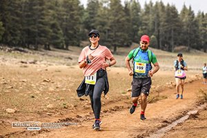 Trail Des Cèdres 2023 (Edition 14)